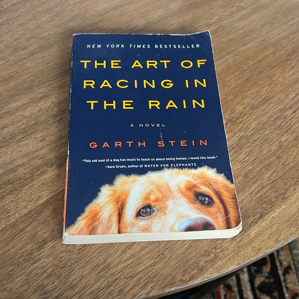 The Art of Racing in the Rain by Garth Stein